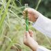 Nouvel appel à manifestation d'intérêt dans le secteur des biotechnologies