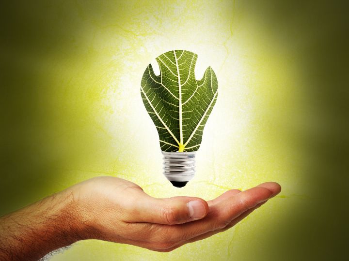 La nouvelle Stratégie européenne pour la bioéconomie vient d'être publiée