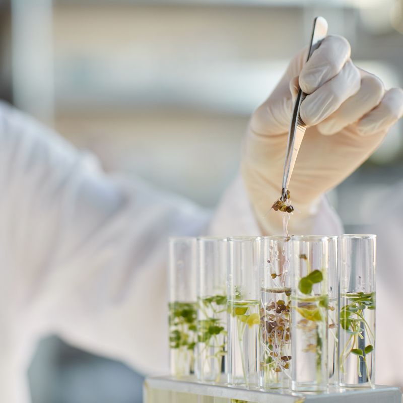 Affiche Présentation des résultats de l'étude sur les biotechnologies alimentaires