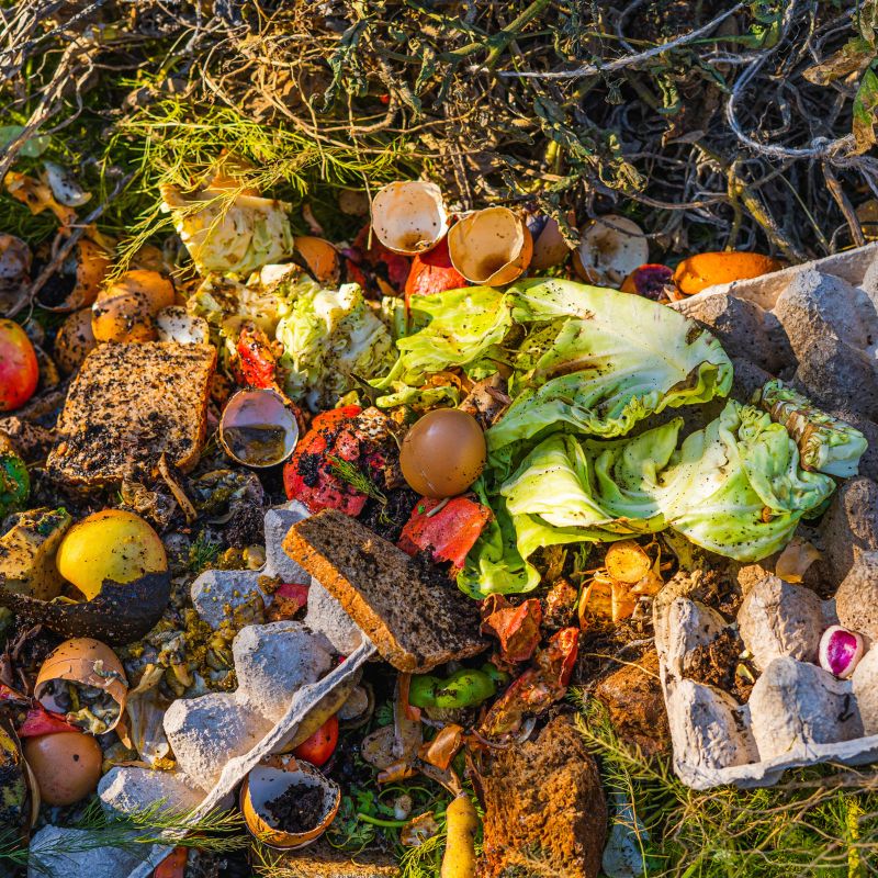 Affiche Quelles valorisations pour les déchets organiques ?