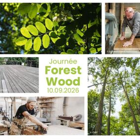 journee-forest-wood.jpg