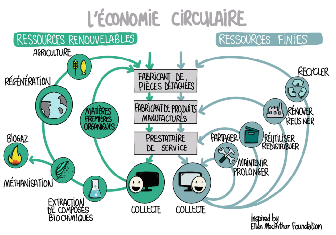 Economie%20circulaire_illustration.png