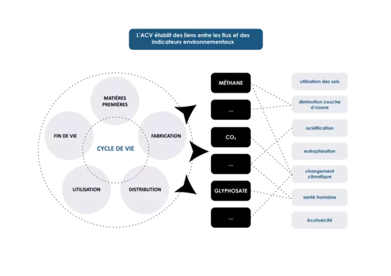 graph-thematique-3-intro-acv-flux-et-indicateurs_0.png.webp (GRAPH - thématique 3 - intro - acv flux et indicateurs_0.png.webp)