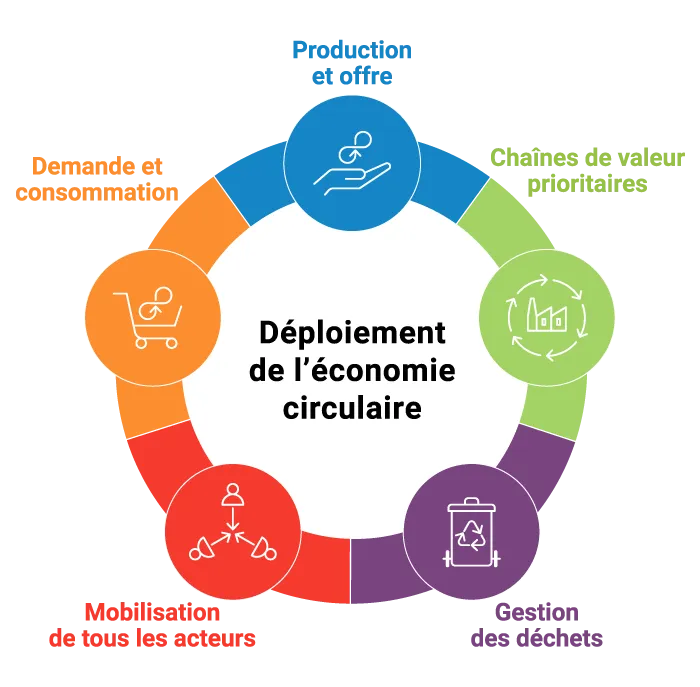 infographie-ced