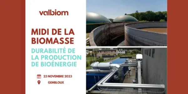 Midi de la biomasse : durabilité de la production de bioénergie