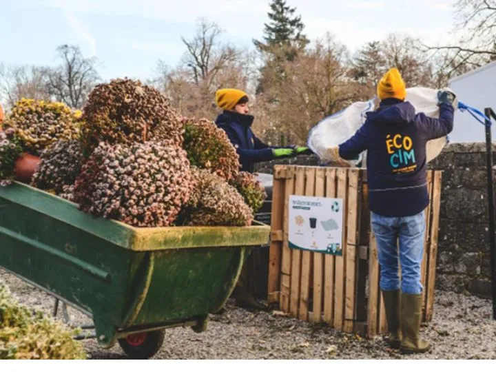 La première recyclerie végétale en Wallonie donne une seconde vie aux chrysanthèmes des cimetières