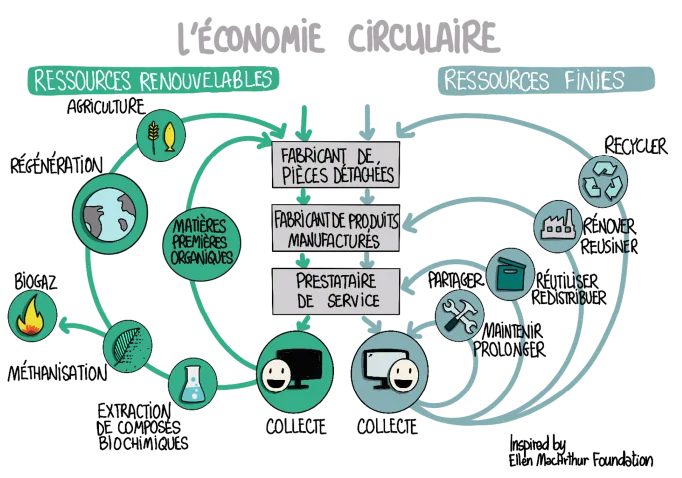 Economie circulaire schéma